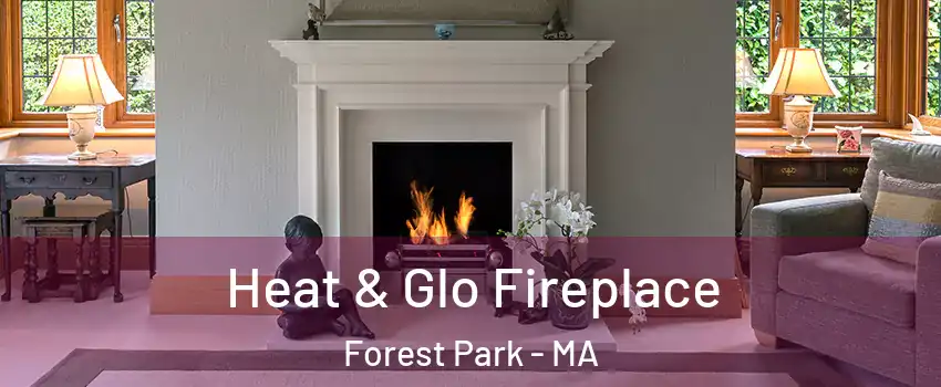 Heat & Glo Fireplace Forest Park - MA