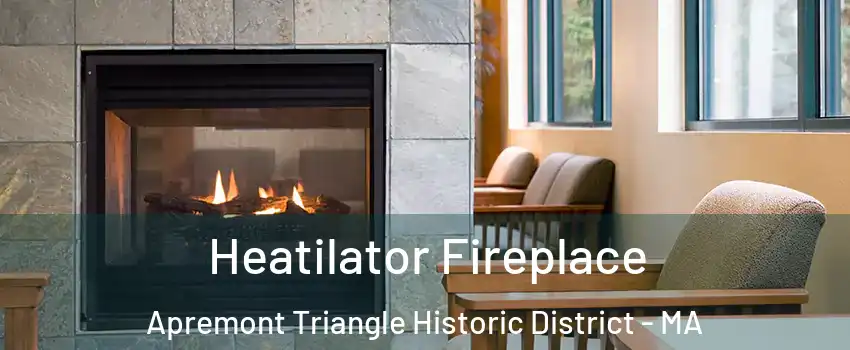 Heatilator Fireplace Apremont Triangle Historic District - MA