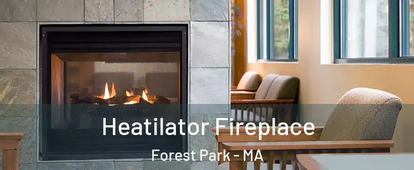 Heatilator Fireplace Forest Park - MA