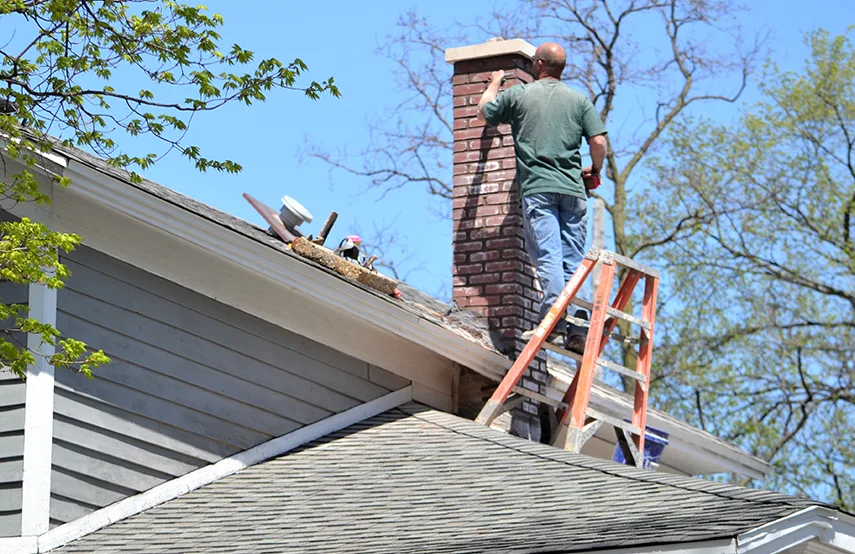 Chimney & Fireplace Inspections Services in Springfield, MA