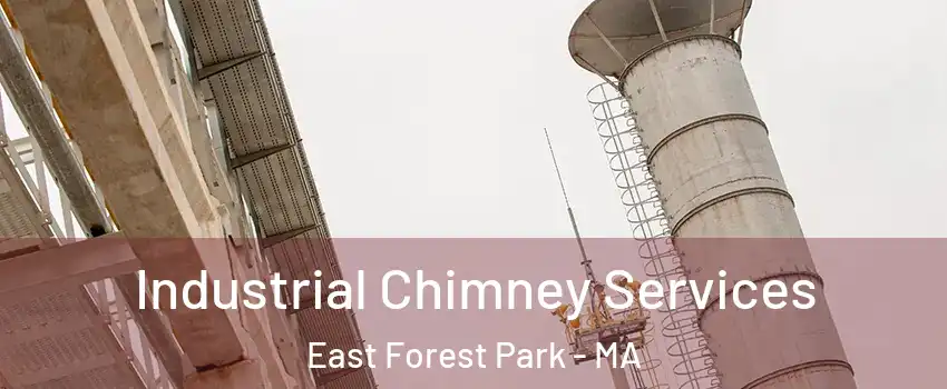 Industrial Chimney Services East Forest Park - MA