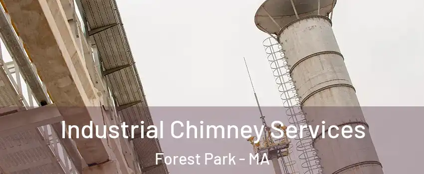 Industrial Chimney Services Forest Park - MA