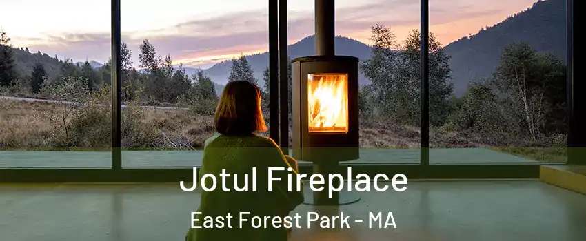 Jotul Fireplace East Forest Park - MA