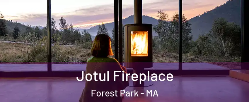 Jotul Fireplace Forest Park - MA