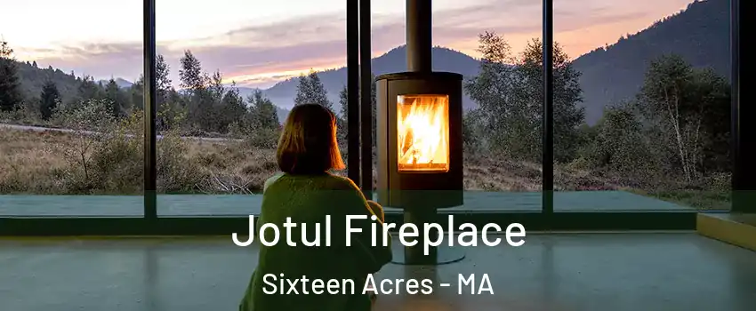 Jotul Fireplace Sixteen Acres - MA