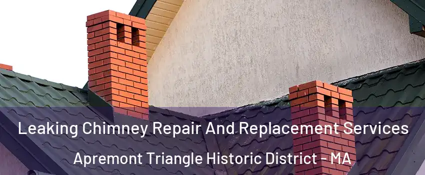 Leaking Chimney Repair And Replacement Services Apremont Triangle Historic District - MA