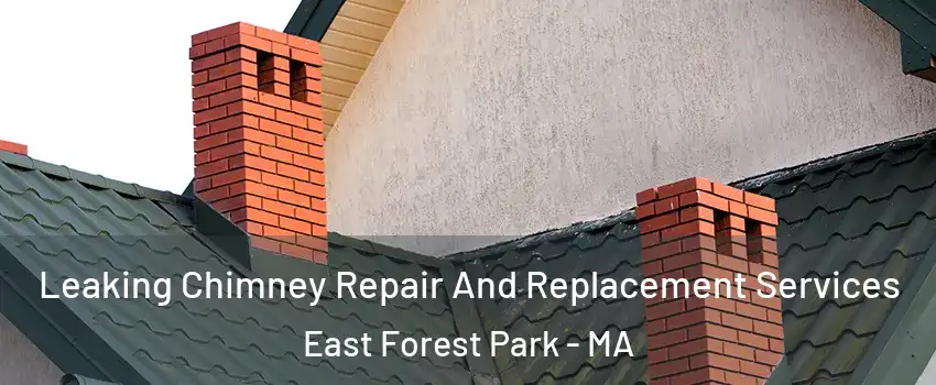 Leaking Chimney Repair And Replacement Services East Forest Park - MA