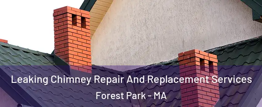 Leaking Chimney Repair And Replacement Services Forest Park - MA