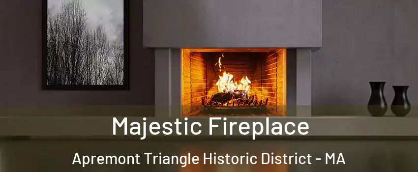 Majestic Fireplace Apremont Triangle Historic District - MA