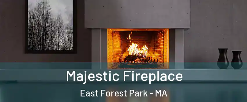 Majestic Fireplace East Forest Park - MA