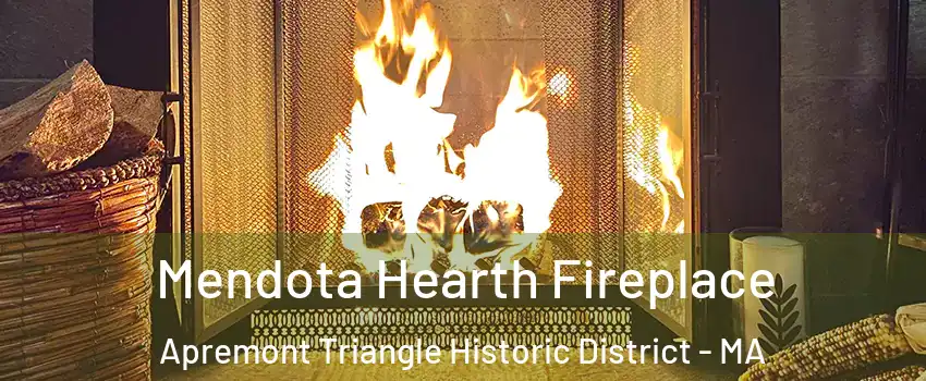 Mendota Hearth Fireplace Apremont Triangle Historic District - MA