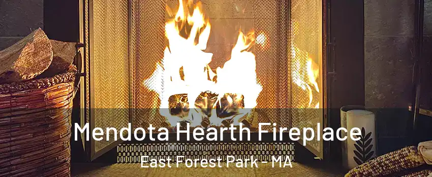 Mendota Hearth Fireplace East Forest Park - MA