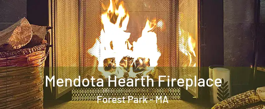 Mendota Hearth Fireplace Forest Park - MA