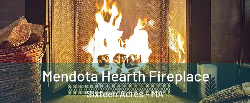Mendota Hearth Fireplace Sixteen Acres - MA