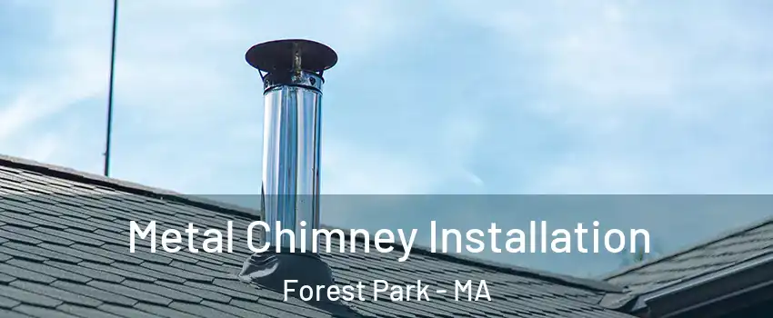Metal Chimney Installation Forest Park - MA