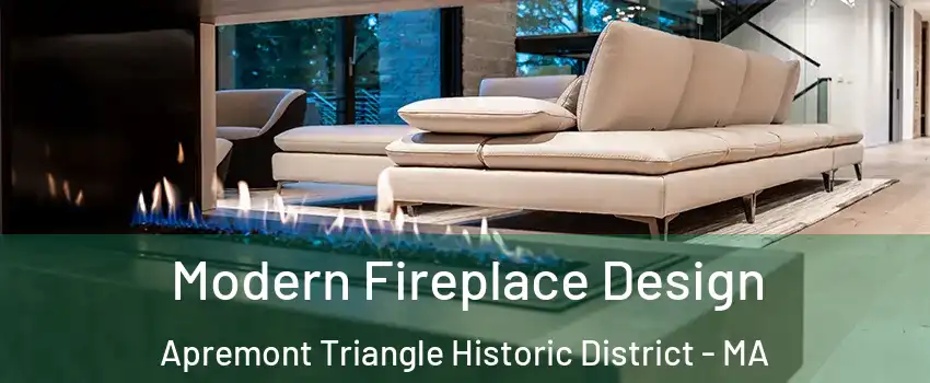 Modern Fireplace Design Apremont Triangle Historic District - MA