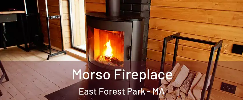 Morso Fireplace East Forest Park - MA