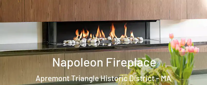 Napoleon Fireplace Apremont Triangle Historic District - MA