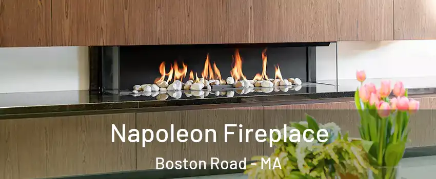 Napoleon Fireplace Boston Road - MA