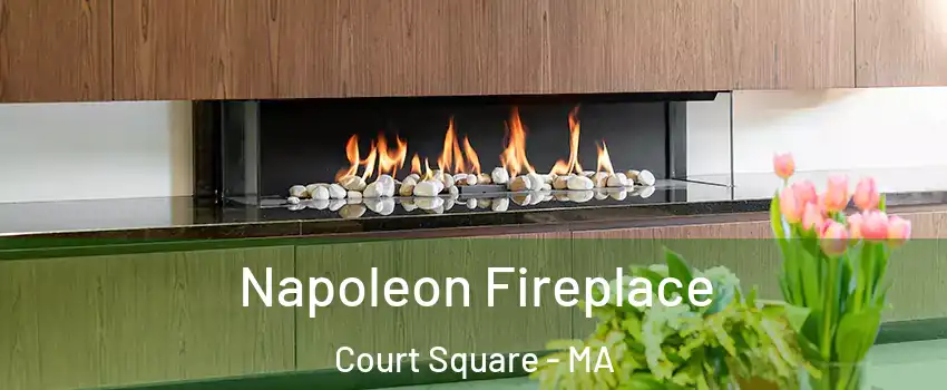 Napoleon Fireplace Court Square - MA