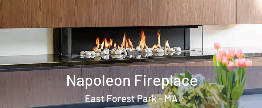 Napoleon Fireplace East Forest Park - MA