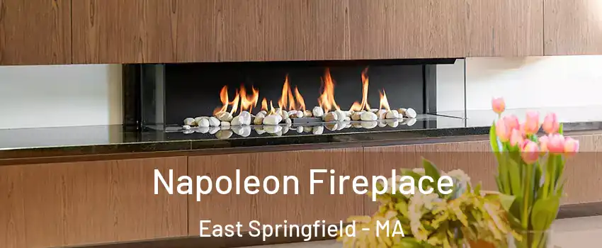 Napoleon Fireplace East Springfield - MA