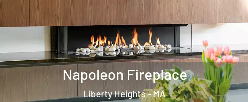 Napoleon Fireplace Liberty Heights - MA