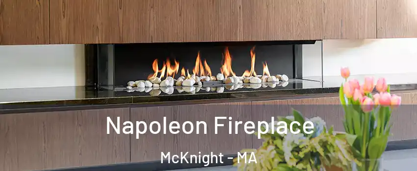 Napoleon Fireplace McKnight - MA