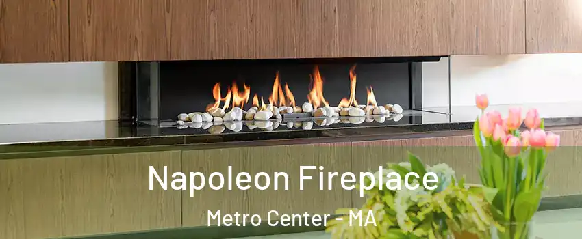 Napoleon Fireplace Metro Center - MA
