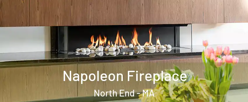 Napoleon Fireplace North End - MA