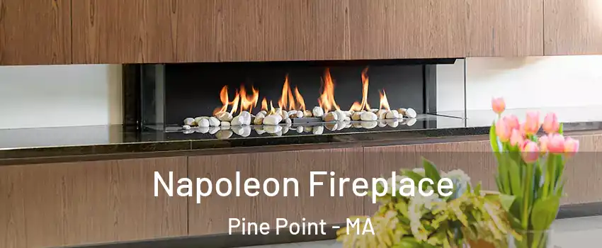 Napoleon Fireplace Pine Point - MA