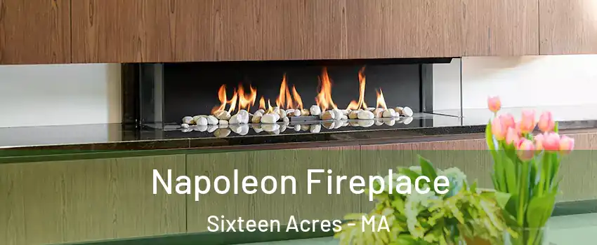 Napoleon Fireplace Sixteen Acres - MA