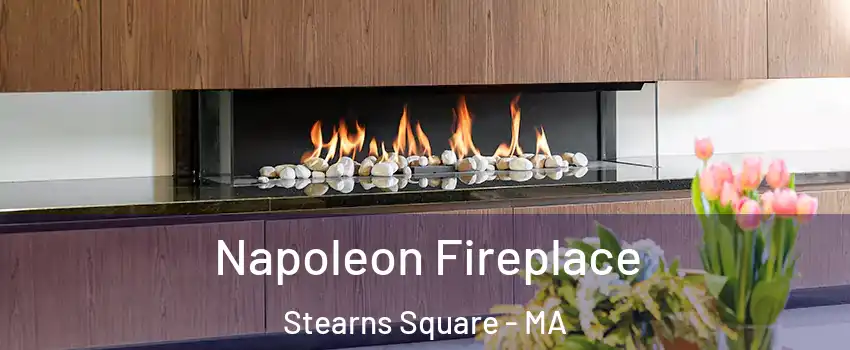 Napoleon Fireplace Stearns Square - MA