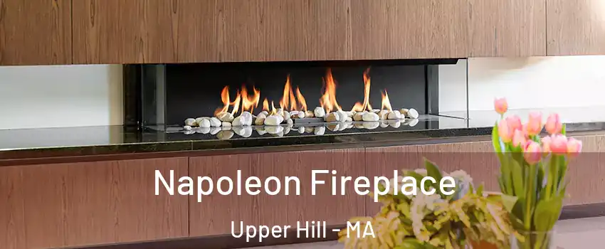 Napoleon Fireplace Upper Hill - MA