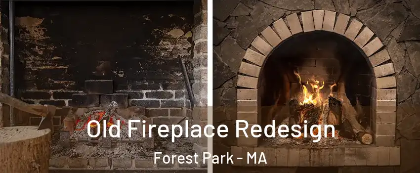 Old Fireplace Redesign Forest Park - MA