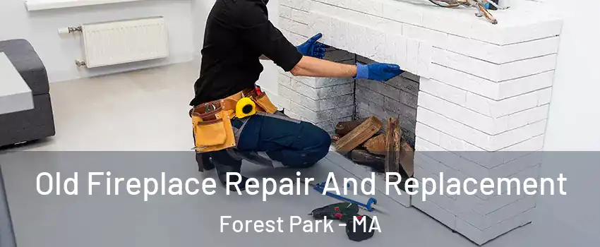 Old Fireplace Repair And Replacement Forest Park - MA