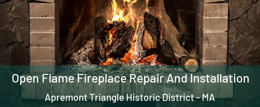 Open Flame Fireplace Repair And Installation Apremont Triangle Historic District - MA