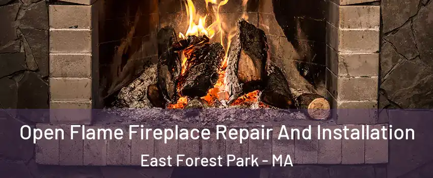 Open Flame Fireplace Repair And Installation East Forest Park - MA