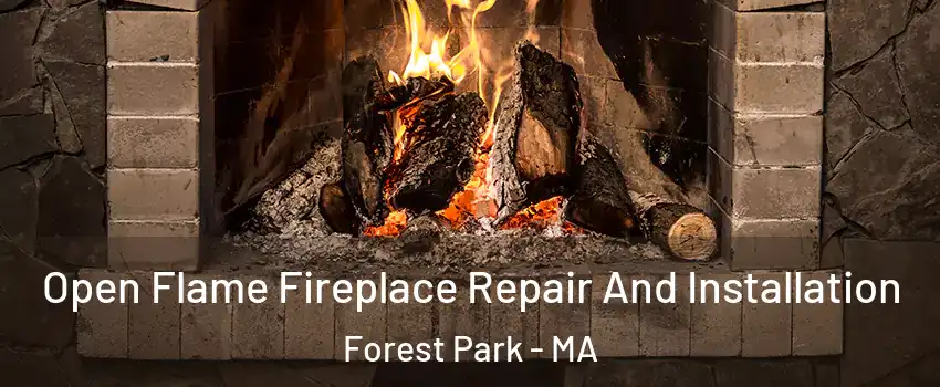 Open Flame Fireplace Repair And Installation Forest Park - MA