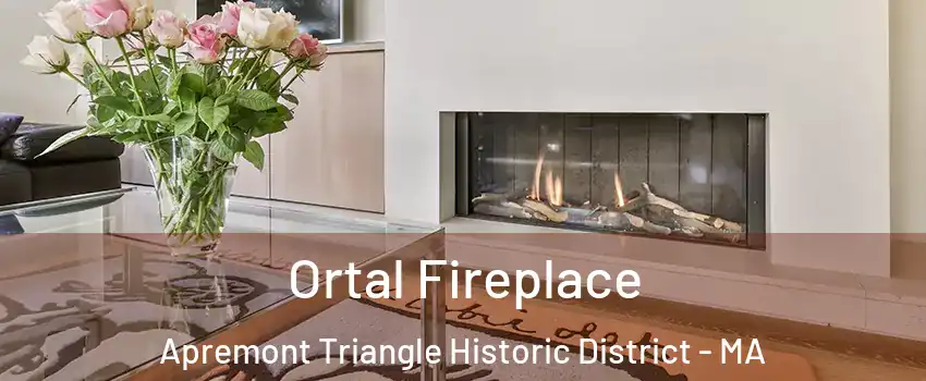 Ortal Fireplace Apremont Triangle Historic District - MA