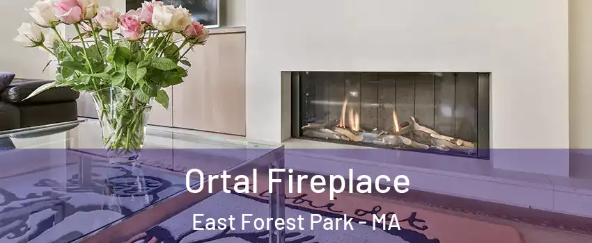 Ortal Fireplace East Forest Park - MA