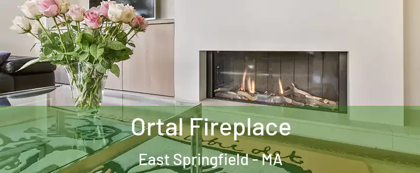 Ortal Fireplace East Springfield - MA