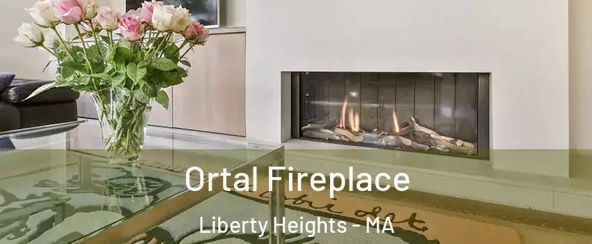 Ortal Fireplace Liberty Heights - MA