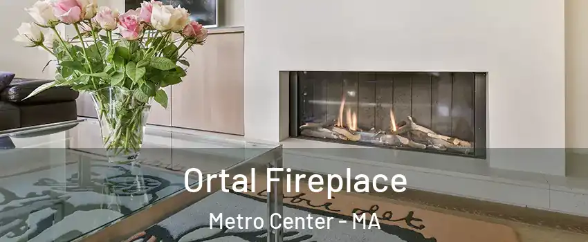 Ortal Fireplace Metro Center - MA