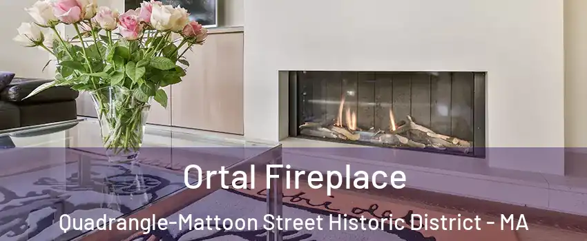 Ortal Fireplace Quadrangle-Mattoon Street Historic District - MA