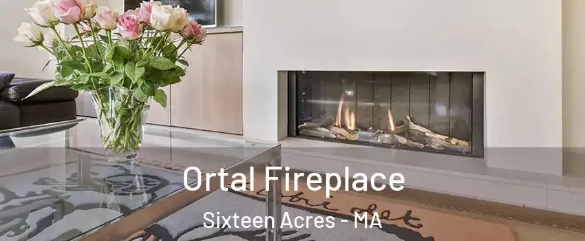 Ortal Fireplace Sixteen Acres - MA