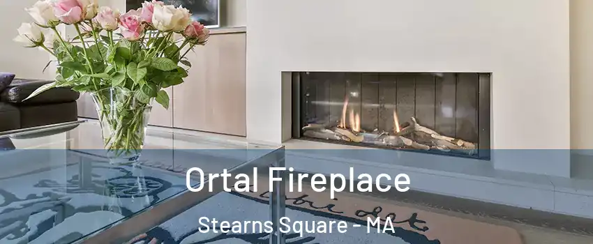 Ortal Fireplace Stearns Square - MA