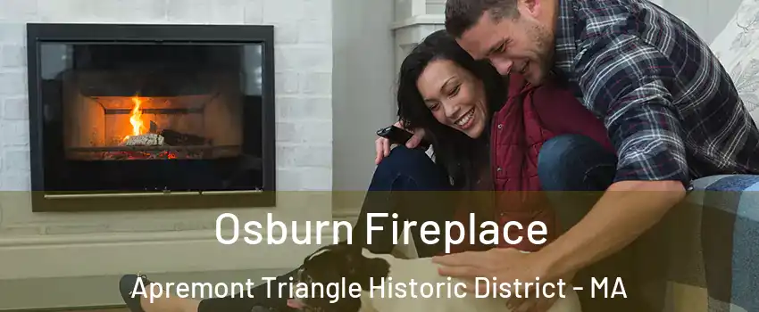 Osburn Fireplace Apremont Triangle Historic District - MA