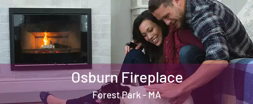 Osburn Fireplace Forest Park - MA