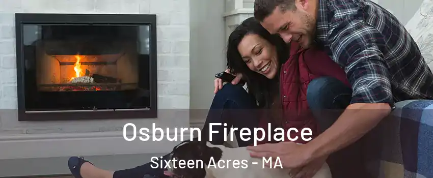 Osburn Fireplace Sixteen Acres - MA